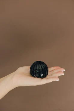 Andi Glossy Bird Nest Expng Hair Claw