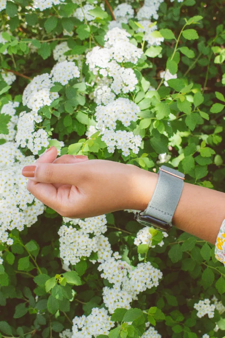 Andi Sage Adjustable Elastic Watch Band