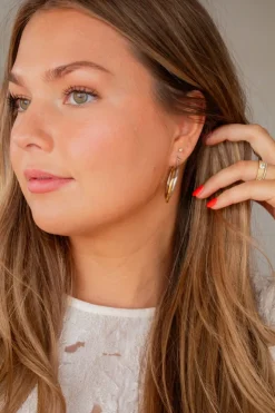 Andi Two Tone Hoops